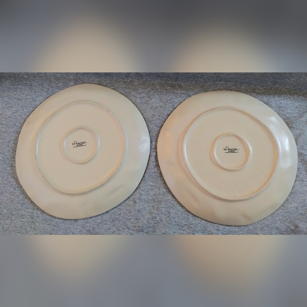 (2) inHomeStylez Ceramic/Stoneware 11" Dinner Plates "Ruby Hummingbird" - Picture 9 of 11